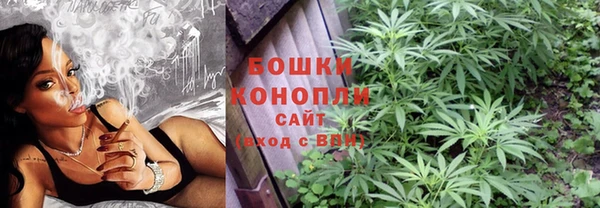 твердый Новозыбков