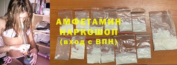 твердый Новозыбков