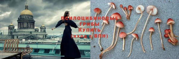 твердый Новозыбков
